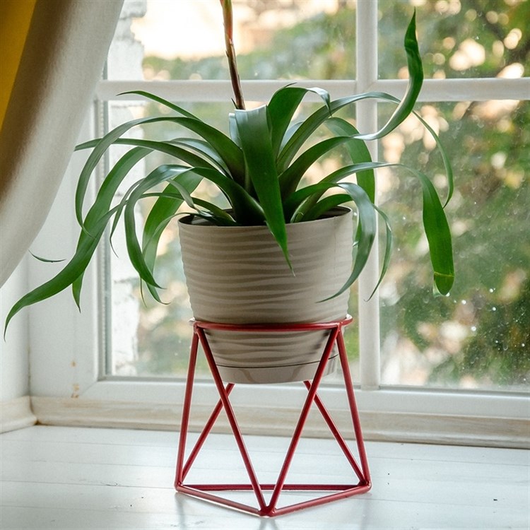 Подставка для цветов на подоконник 66-601 d=12см - фото 237376