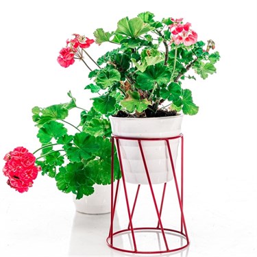 {{productViewItem.photos[photoViewList.activeNavIndex].Alt || productViewItem.photos[photoViewList.activeNavIndex].Description || 'Цветочница на подоконник Лофт 66-605 d=10см цвет красный'}}