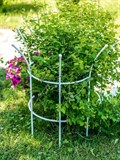 Опора для садовых растений полукруглая 68 см 58-921 - фото 220443