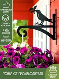 Кронштейн настенный металлический для кашпо Птица 201-016 - фото 222492