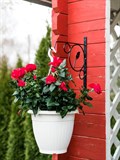 Настенный кронштейн для цветочных кашпо 52-025 - фото 227530 Настенный кронштейн для цветочных кашпо 52-025 - фото 227530