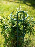Опора для растений металлическая 74 см 58-928 - фото 228114
