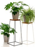 Подставка для цветов напольная Loft 66-414 - фото 228854