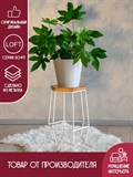 Подставка для цветов напольная Loft 66-411 - фото 228879