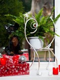Подставка для комнатных растений металлическая 95-046 - фото 231119 Подставка для комнатных растений металлическая 95-046 - фото 231119