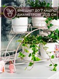 Подставка для 7 цветов на подоконник 14-917 металл - фото 233512 Подставка для 7 цветов на подоконник 14-917 металл - фото 233512