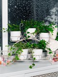 Подставка для 7 цветов на подоконник 14-917 металл - фото 233522 Подставка для 7 цветов на подоконник 14-917 металл - фото 233522