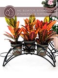 Подставка на подоконник для пяти цветов металлическая 41-942 - фото 233554