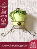 Подставка для цветов настенная на одно кашпо 15-011 - фото 234473