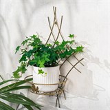 Подставка настенная для одного цветка 15-001 металл - фото 236515