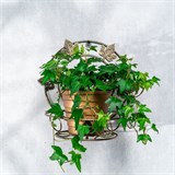 Подставка для цветка настенная 15-101 металл - фото 236528