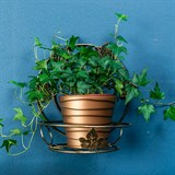 Подставка для цветка настенная 15-101 металл - фото 236535