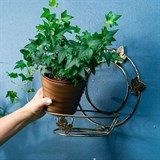 Подставка для цветка настенная 15-101 металл - фото 236536