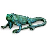 Игуана большая - фото 236565