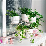 Подставка для 7 цветов на подоконник 14-917 металл - фото 236572 Подставка для 7 цветов на подоконник 14-917 металл - фото 236572