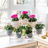 Подставка для 7 цветов на подоконник 14-917 металл - фото 236574 Подставка для 7 цветов на подоконник 14-917 металл - фото 236574