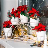 Подставка для 7 цветов на подоконник 14-917 металл - фото 236576 Подставка для 7 цветов на подоконник 14-917 металл - фото 236576