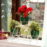 Подставка для 7 цветов на подоконник 14-917 металл - фото 236587 Подставка для 7 цветов на подоконник 14-917 металл - фото 236587