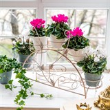 Подставка для 7 цветов на подоконник 14-917 металл - фото 236589 Подставка для 7 цветов на подоконник 14-917 металл - фото 236589