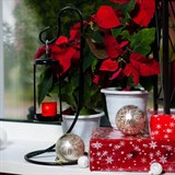 Подсвечник интерьерный на одну свечу металл - фото 236733