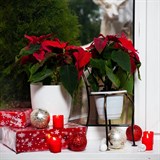 Подставка на подоконник для 1 кашпо 95-031 d=15см - фото 236811