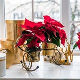 Подставка для 2 кашпо с цветами 95-036 d=10см - фото 236853