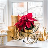 Подставка для 2 кашпо с цветами 95-036 d=10см - фото 236856