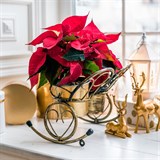 Подставка для 2 кашпо с цветами 95-036 d=10см - фото 236857