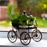 Цветочница на подоконник Карета 51-308 металлическая - фото 236900