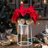 Подставка на подоконник для цветов 66-600 d=12см - фото 237345