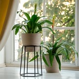 Подставка на подоконник для цветов 66-600 d=12см - фото 237352