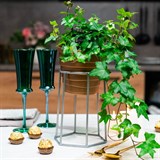 Подставка на подоконник для цветов 66-600 d=12см - фото 237357