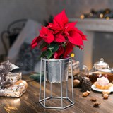 Подставка на подоконник для цветов 66-600 d=12см - фото 237360