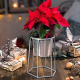 Подставка на подоконник для цветов 66-600 d=12см - фото 237361