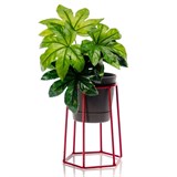 Подставка на подоконник для цветов 66-600 d=12см - фото 237363