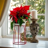 Подставка на подоконник для цветов 66-600 d=12см - фото 237366