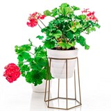 Подставка на подоконник для цветов 66-600 d=12см - фото 237373