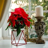 Подставка для цветов на подоконник 66-601 d=12см - фото 237377