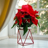 Подставка для цветов на подоконник 66-601 d=12см - фото 237378