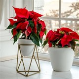 Подставка для цветов лофт 66-602 металлическая d=12см - фото 237389 Подставка для цветов лофт 66-602 металлическая d=12см - фото 237389