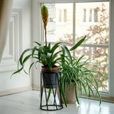 Подставка в стиле Лофт для цветов 66-604 d=10см - фото 237411