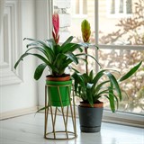 Подставка в стиле Лофт для цветов 66-604 d=10см - фото 237420