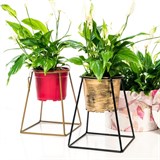 Цветочница на подоконник  66-610 для одного кашпо D=12см - фото 237432