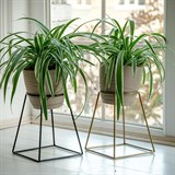 Цветочница на подоконник  66-610 для одного кашпо D=12см - фото 237434