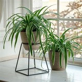 Цветочница на подоконник  66-610 для одного кашпо D=12см - фото 237447