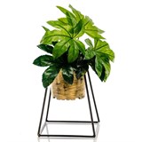 Цветочница на подоконник  66-610 для одного кашпо D=12см - фото 237448