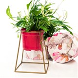 Цветочница на подоконник  66-610 для одного кашпо D=12см - фото 237460