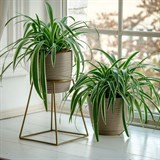 Цветочница на подоконник  66-610 для одного кашпо D=12см - фото 237462