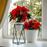 Подставка на подоконник для цветов Лофт 66-603 d=12см - фото 237476