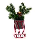 Цветочница на подоконник Лофт 66-605 d=10см цвет красный - фото 237501 Цветочница на подоконник Лофт 66-605 d=10см цвет красный - фото 237501